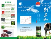 產(chǎn)品介紹