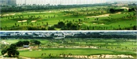 球場(chǎng)全景