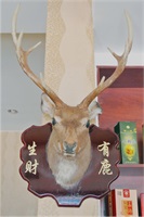 店內環境